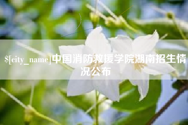 平凉中国消防救援学院湖南招生情况公布