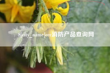 平凉ccc消防产品查询网