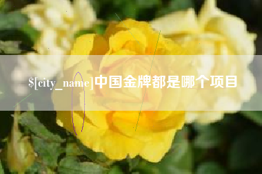 平凉中国金牌都是哪个项目