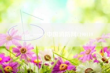 平凉中国消防网1190119