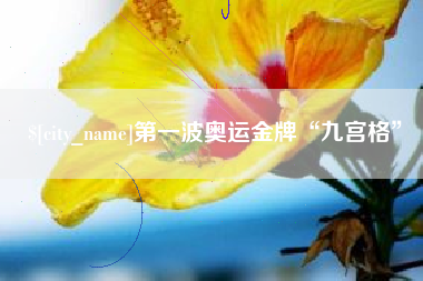 平凉第一波奥运金牌“九宫格”