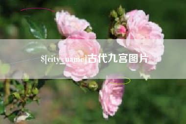 平凉古代九宫图片