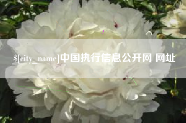 平凉中国执行信息公开网 网址