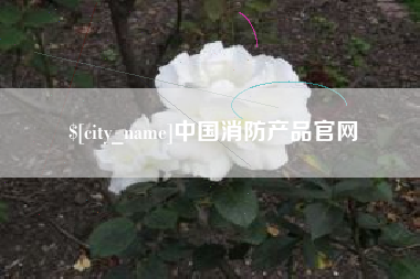 平凉中国消防产品官网