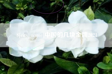 平凉中国的几块金牌2021