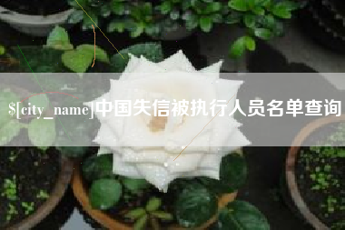 平凉中国失信被执行人员名单查询