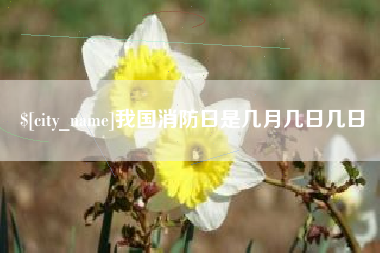 平凉我国消防日是几月几日几日