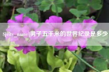 平凉男子五千米的世界纪录是多少