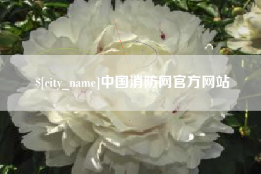 平凉中国消防网官方网站