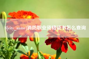 平凉消防职业资格证书怎么查询