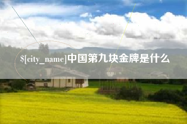 平凉中国第九块金牌是什么