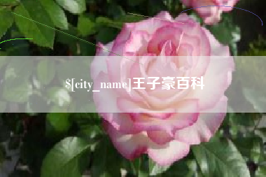 平凉王子豪百科