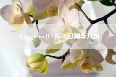 平凉119消防日哪年开始