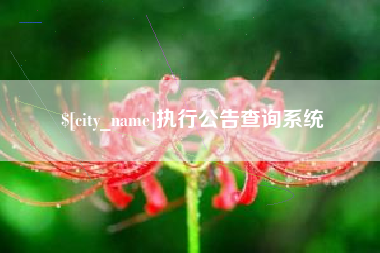 平凉执行公告查询系统