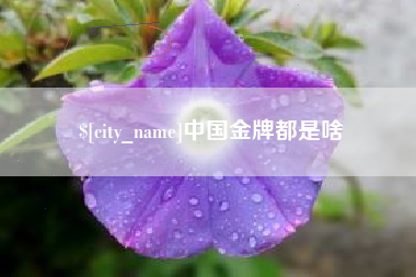 平凉中国金牌都是啥