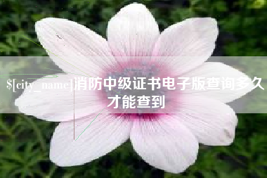 平凉消防中级证书电子版查询多久才能查到