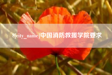 平凉中国消防救援学院要求