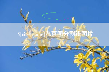 平凉九宫图分割线图片