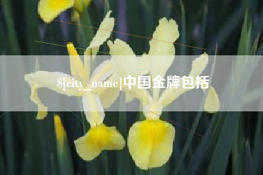平凉中国金牌包括