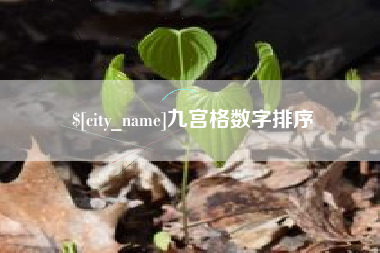 平凉九宫格数字排序