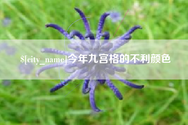 平凉今年九宫格的不利颜色