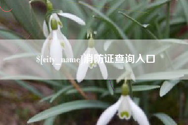 平凉消防证查询入口