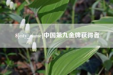 平凉中国第九金牌获得者