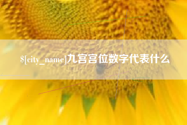 平凉九宫宫位数字代表什么