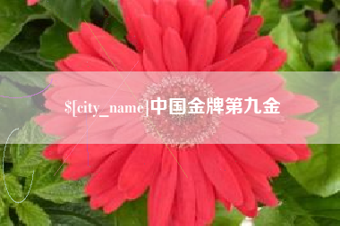 平凉中国金牌第九金