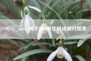 平凉男子5000米年龄成绩对照表