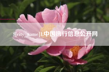 平凉1.中国执行信息公开网