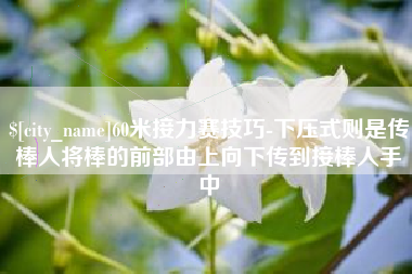 平凉60米接力赛技巧-下压式则是传棒人将棒的前部由上向下传到接棒人手中