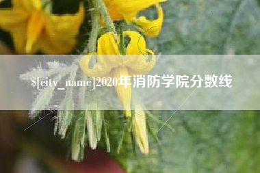平凉2020年消防学院分数线