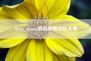 平凉消防救援总队王星