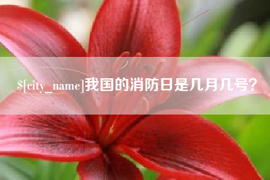 平凉我国的消防日是几月几号？