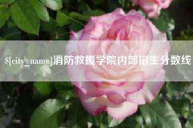 平凉消防救援学院内部招生分数线