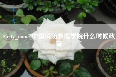 平凉中国消防救援学院什么时候政审