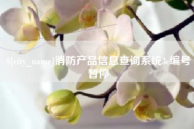 平凉消防产品信息查询系统3c编号暂停