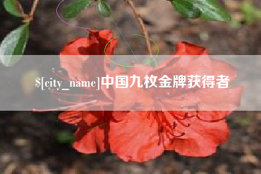 平凉中国九枚金牌获得者