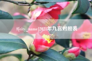平凉2021年九宫对照表