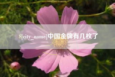 平凉中国金牌有几枚了