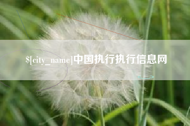 平凉中国执行执行信息网