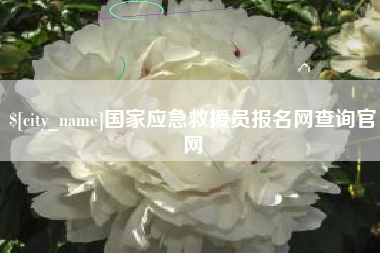 平凉国家应急救援员报名网查询官网