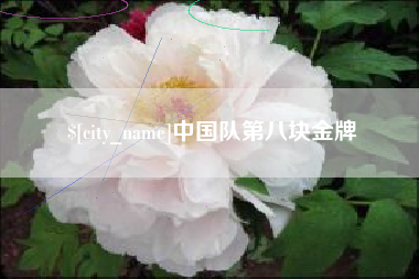 平凉中国队第八块金牌