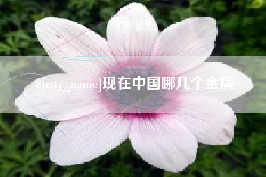 平凉现在中国哪几个金牌