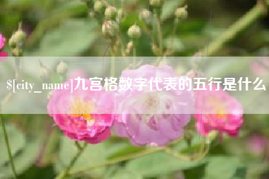 平凉九宫格数字代表的五行是什么
