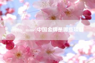 平凉中国金牌是哪些项目