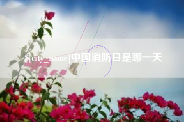 平凉中国消防日是哪一天