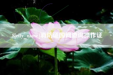 平凉消防证国网查询操作证