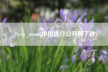 平凉中国执行公开网下载